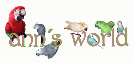 ann's world für Papageien & Sittiche | Sittich & Papageienkäfige | Papageienfutter | Papageienspielzeug | Papageien & Sittiche shoppen bei annsworld.de
