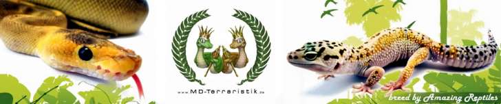 MD-Terraristik Amazing Reptiles