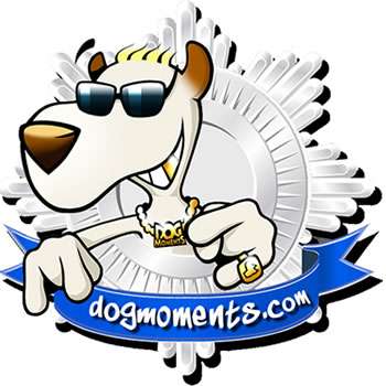 Dogmoments Wellness Hundeshampoo / Shampoo ohne Konservierungsstoffe