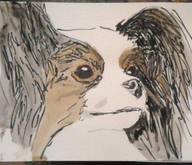 Urlaub mit meinem Hund