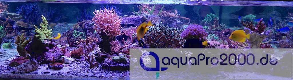 aquaPro2000 SeaLife