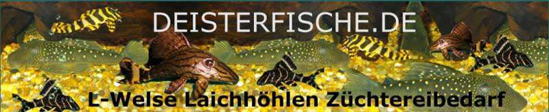 Deisterfische.de (Aquaristik Online GbR)