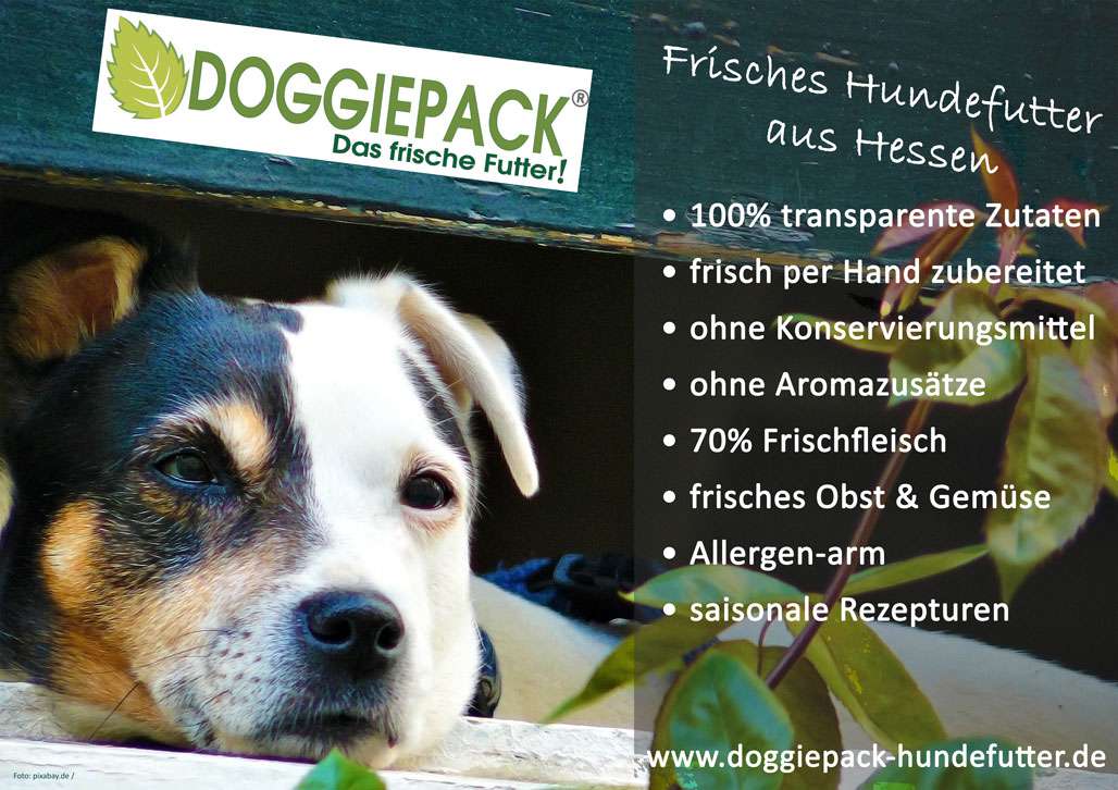 Doggiepack - Das frische Futter!