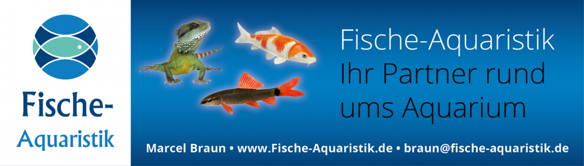 Fische-Aquaristik