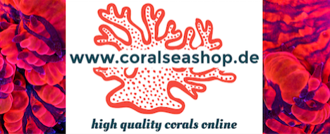 Coralseashop.de  - Ihr Korallen Online-Shop