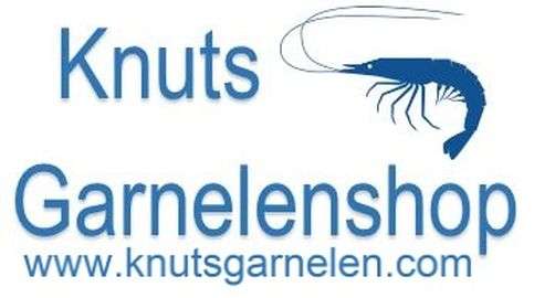knutsgarnelen.com - Dein Shop für Nanoaquaristik