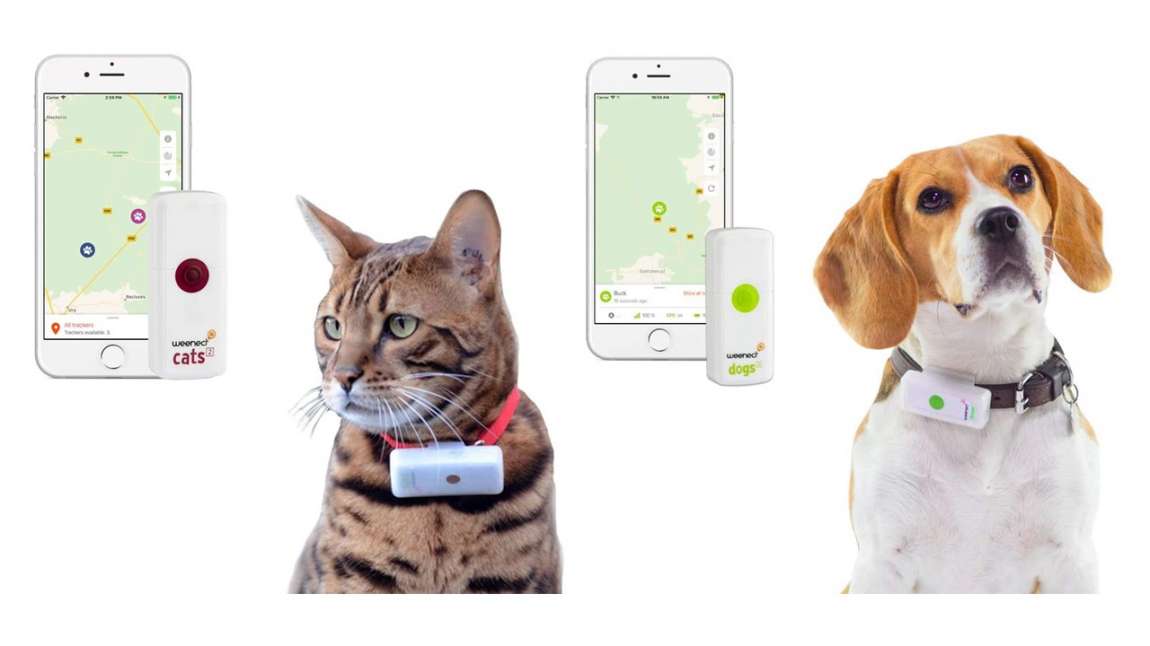 Weenect GPS-Tracker für Haustiere
