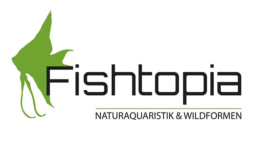 Fishtopia