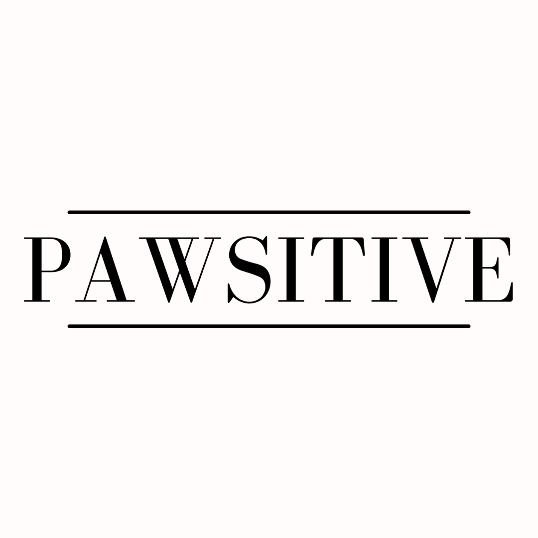 PAWSITIVE - Dein Online Hundemagazin