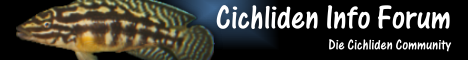 Cichliden Info Forum