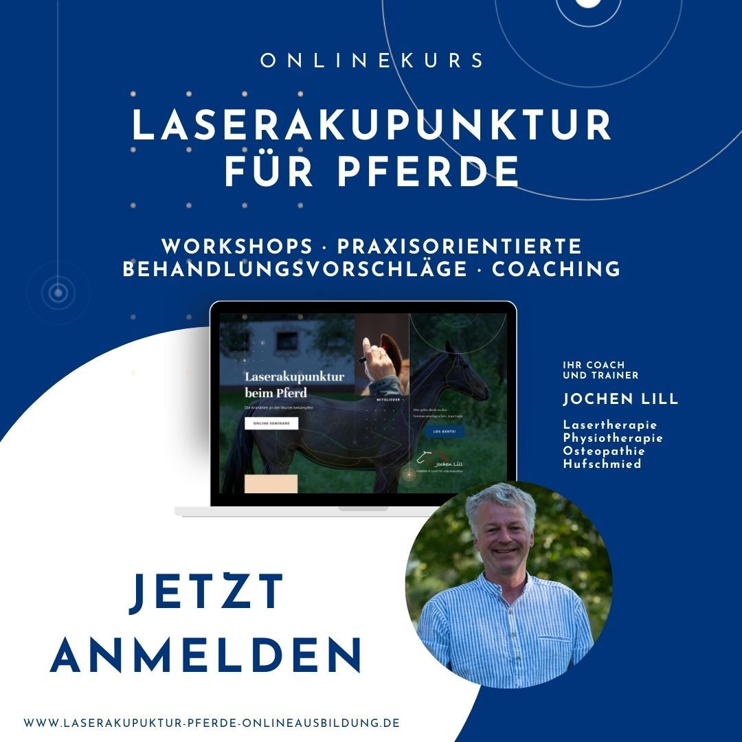 Laserakupunktur für Pferde Onlinekurs - Jochen Lill