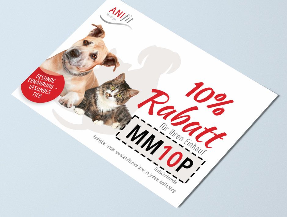 missmao.de - Premium-Katzenbetreuung in Hannover & Katzen-Ernährungsberatung