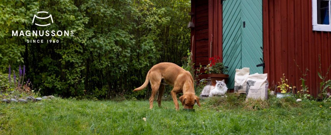 Bei jedem Bissen neu verliebt... in Magnussons