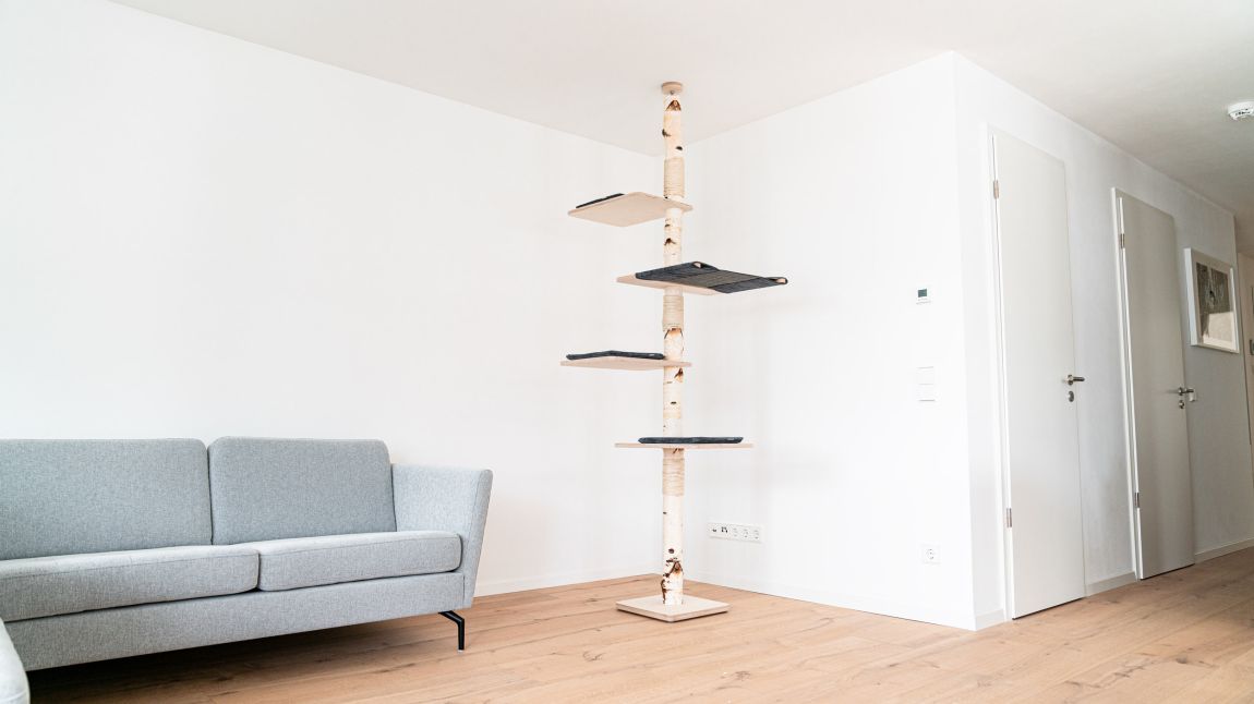 cado.design - Natur Kratzbäume für glückliche Katzen und ein schönes Zuhause
