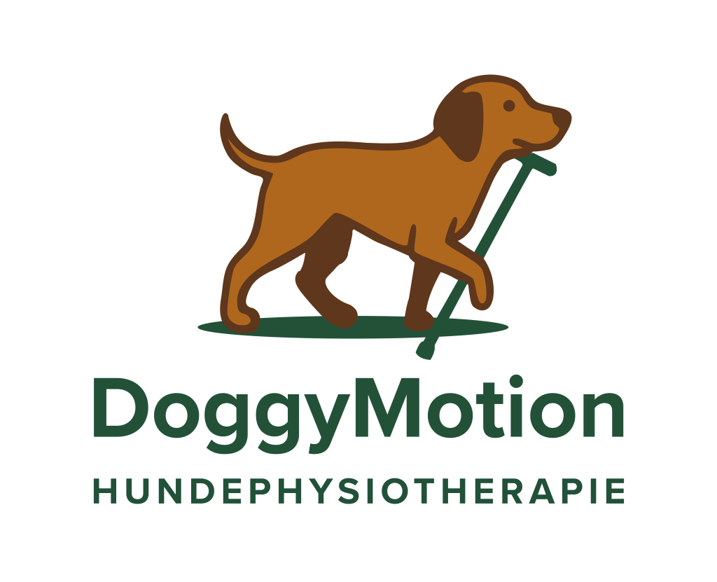 DoggyMotion Hundephysiotherapie