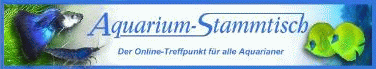 Aquarium Stammtisch Forum
