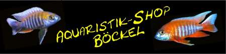 Aquaristik-Shop Böckel