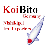 Koishop.de - ehemals KoiBito Germany Japan Koi Import