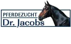 Springpferde vom Züchter - Pferdezucht Dr. Jacobs