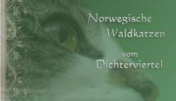 Norwegische Waldkatzen vom Dichterviertel
