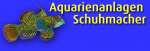 Aquarienanlagen Schuhmacher