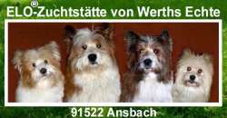 Familienhund Elo® von Werths Echte in Franken