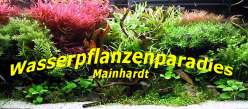 Wasserpflanzenparadies Mainhardt