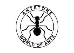 ANTSTORE - Fachhandel für Ameisen