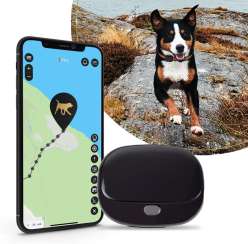 paj-gps.de - GPS Tracker für Hunde